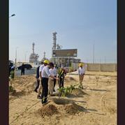 به مناسبت روز درختکاری؛ آغاز طرح توسعه فضای سبز پیرامونی پالایشگاه نفت سنگین پاسارگاد قشم